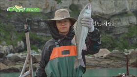 [선공개] 끝도없이 올라오는 고기들의 향연, 잔치로구나! TV CHOSUN 250718 방송