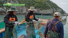 목표는 만선!🎣 어촌계장님과 함께하는 아침 조업🌞🛥 TV CHOSUN 250718 방송