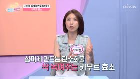 🌾카무트 효소🌾 소화력을 높여서⬆ 더부룩한 속을 뻥💥 TV CHOSUN 250718 방송