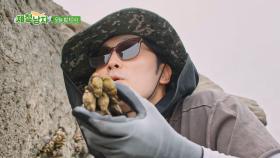 [선공개] 관매도 갯바위에서 만난 