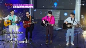 쎄시봉의 🌠화려한 귀환🌠 ‘The Lion Sleeps Tonight’♪🦁 TV CHOSUN 250806 방송