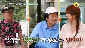 반갑다 친구야~! 강릉 바다 밥상_허영만의 백반기행 307회 예고 TV CHOSUN 250803 방송