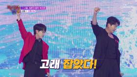 무더위🌞를 시원하게 날려주는 성용의 폭발적인 고음💥 ‘고래사냥’♪🐳 TV CHOSUN 250806 방송