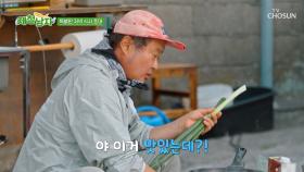 관매도 주민분들 취향 저격할💘 상호 표 🍲매콤 국물 닭발🍲 TV CHOSUN 250808 방송