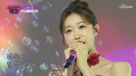 🌸서주꽃🌸의 꽃말은 언제나 예쁨이야☺ ‘난 너에게’♪ TV CHOSUN 250827 방송