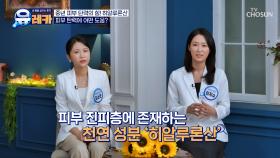 💧히알루론산💧 수분 충전하고🔋 피부 탄력 UP⬆ TV CHOSUN 250914 방송
