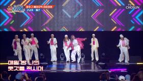 흔들어 쉐킷 쉐킷🕺 에너지 넘치는 마포구 에어로빅 힙합협회의 오프닝 무대😆 TV CHOSUN 250928 방송