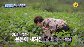 석탄 산업 쇠퇴와 함께 저물어간 마을의 활기_유랑닥터 32회 예고 TV CHOSUN 251011 방송