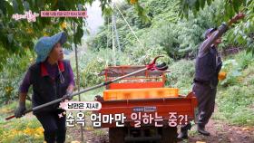 사랑이 뭐길래_엄마의 봄날 526회 예고 TV CHOSUN 251012 방송