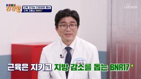 🎀BNR17🎀 지방 DOWN⬇ 근육을 지켜주는 자물쇠🔒 TV CHOSUN 251013 방송