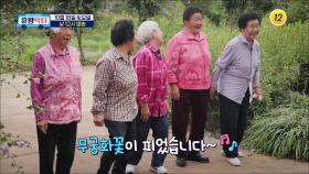 역대급 종종걸음 어르신의 등장_유랑닥터 33회 예고 TV CHOSUN 251018 방송