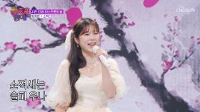 트롯 능력치 만렙👍 간드러지는 지은이의 음색 자랑하는😉 ‘소백산’♪ TV CHOSUN 251017 방송