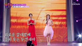 매일매일 듣고🎧 싶은 조합😚 지윤&서주의 ‘소양강 처녀’♪ TV CHOSUN 251017 방송