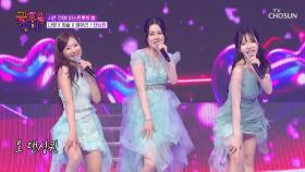내 마음을 홀리는 💗트롯 댄싱 걸스💗의 화려한 춤사위💃 ‘댄싱퀸’♪ TV CHOSUN 251017 방송