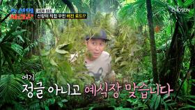 세계 최초?!🌏 신랑 김병만이 직접 만드는 특별한 버진 로드💐 TV CHOSUN 251020 방송