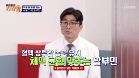 🌟알부민🌟 부종 OUT❌ 혈관 속🩸 수분 자석🧲 TV CHOSUN 251020 방송