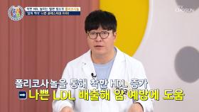 🌿폴리코사놀🌿 혈관 속 나쁜 콜레스테롤 배출을 돕는 혈관 청소부🧹 TV CHOSUN 251016 방송