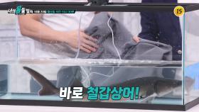 남녀노소 누구도 피해 갈 수 없는 무릎 관절염_너의 몸을 알라 2회 예고 TV CHOSUN 251020 방송