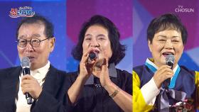 뛰어난 실력으로 ✨시선 강탈✨ 『싱코리아 마포구 편 ep.1-4』 TV CHOSUN 251026 방송