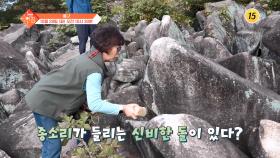 슬기로운 아침 99회 예고 TV CHOSUN 2501028 방송