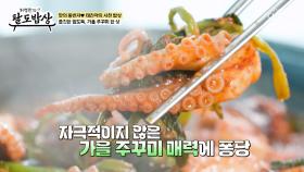 가을에🍁 꼭 먹어야 하는 필수 음식❗ 주꾸미철판볶음🐙 TV CHOSUN 251029 방송