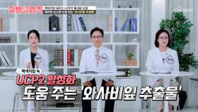 🍃와사비잎 추출물🍃 근력은 UP⬆ 지방은 OUT❌ 건강한 몸으로 재탄생💪 TV CHOSUN 251030 방송