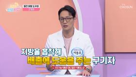 🍒구기자🍒 혈관 속 지방을 배출하고 복부 비만에 도움😉 TV CHOSUN 251029 방송