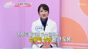 🤎카무트 효소🤎 체내 장독소를 배출하고 소화력 UP⬆ TV CHOSUN 251031 방송