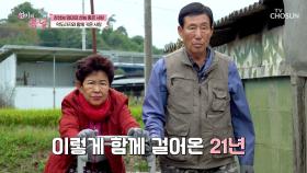 사랑하는 만큼💗 잔소리 폭발🤬🔥 투닥거리면서도 꼭 붙어 다니는 부부😓 TV CHOSUN 251102 방송