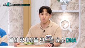 영양소 가득✨ 맛있는 쌀 품종🍚 고르는 꿀팁💡 공개🤗 TV CHOSUN 251103 방송