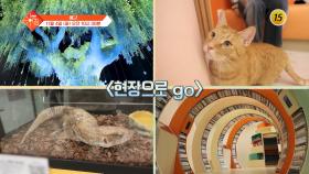 슬기로운 아침 100회 예고 TV CHOSUN 2501104 방송