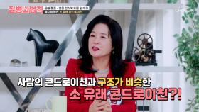 🐮소 유래 콘드로이친🐮 흡수율을 높이고 관절 통증 & 염증 OUT💨 TV CHOSUN 251106 방송