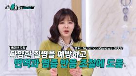 ⭐올리브오일⭐ 염증 타파하고👊 다양한 질병을 예방하는 방어막🛡 TV CHOSUN 251109 방송