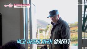 허리가 굽은 엄마를 위해 약초를🌿 캐는 사랑꾼 남편💚 TV CHOSUN 251116 방송