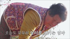 옥분 엄마의 바람 잘 날 없는 인생_엄마의 봄날 532회 예고 TV CHOSUN 251123 방송