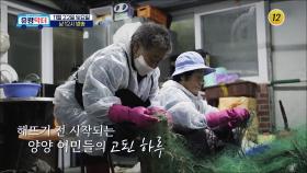 해뜨기 전 시작되는 양양 어민들의 고된 하루_유랑닥터 38회 예고 TV CHOSUN 251122 방송