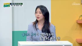 🌟올리브오일🌟 만성염증의 불씨를🔥 꺼주는 몸속 소방관🚒 TV CHOSUN 251121 방송