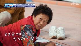 💣굴 따기 중독💣 결국 몸에 건강 이상이 온 봉전마을 어르신들 TV CHOSUN 251129 방송