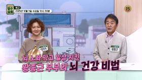 뇌 노화 막고 일상 지킨 왕종근 부부의 뇌 건강 비법_장수상회 152회 예고 TV CHOSUN 251203 방송