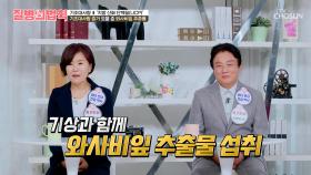 🍃와사비잎 추출물🍃 몸속 지방 태우고🔥 복부 비만 이제 안녕👋 TV CHOSUN 251204 방송