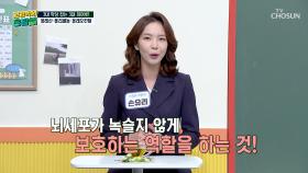 💛올리브오일💛 염증 억제하고⬇ 뇌 노화 늦추는🧠 건강 비결💌 TV CHOSUN 251205 방송