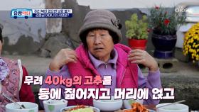 생계를 위해 일만 하다 굽어버린 어머니의 심각한 허리 통증😢 TV CHOSUN 251206 방송