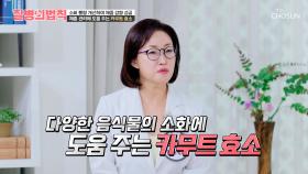 🤎카무트 효소🤎 체내 장독소 배출하고 소화력 개선에 성공😉 TV CHOSUN 251211 방송