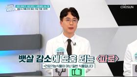 🤎파로🤎 포만감 UP⬆ 혈관 속 염증 감소에 도움😆 TV CHOSUN 251217 방송