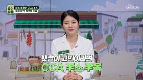 🧡CCA 주스🧡 뱃살은 안녕👋🏻 염증 부르는 복부 비만 타파 비결💌 TV CHOSUN 251217 방송