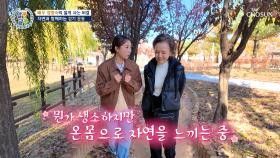 고급美✨ 넘치는 배우 정영숙의 피로 회복 비결💌 맨발 걷기🦶 TV CHOSUN 251218 방송