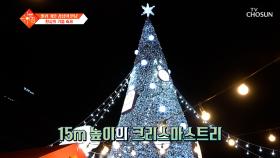 연말 핫플은 여기서 종결👍 크리스마스 분위기 물씬 풍기는 🌲광화문 마켓🌲 TV CHOSUN 251223 방송