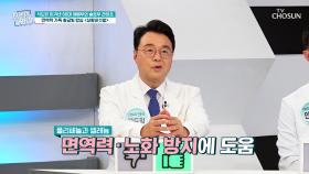 🍄상황버섯쌀🍄 무너진 면역력 올리고⬆ 암세포를 막아주는 방패막🛡 TV CHOSUN 251224 방송