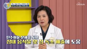 🤎카무트 효소🤎 장 속 독소 배출하고 다이어트 걱정 끝😆 TV CHOSUN 251225 방송