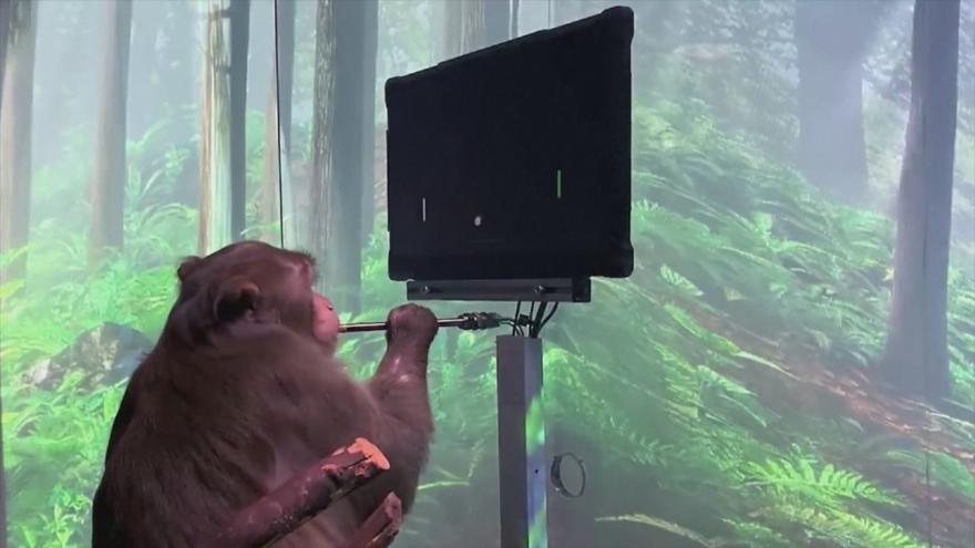 TV ZUM Poster